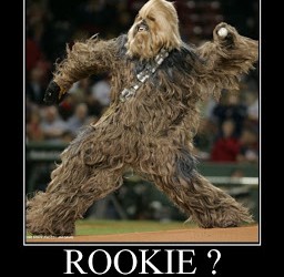 The Rookie