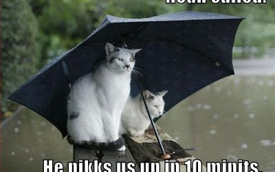 Runnin’ in the Rain