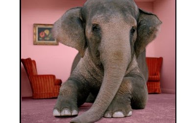 The Elephant in the Room