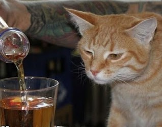 Long Run Tips & Tricks