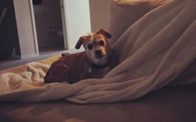 Starting 2014 with a bang!