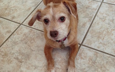 Not doing is underrated