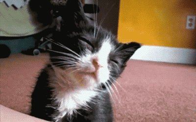 What training for an ironman looks like in gifs