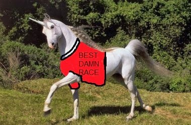 Hoka One One Non-Sponsored Shoe Review