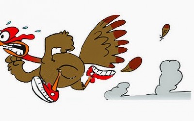 Turkey Trot 5K Race Report 2014